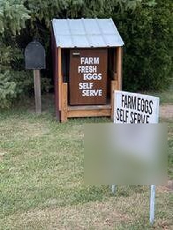 The ABC Farms Eggloo, our self-serve roadside egg stand in Towanda, Illinois