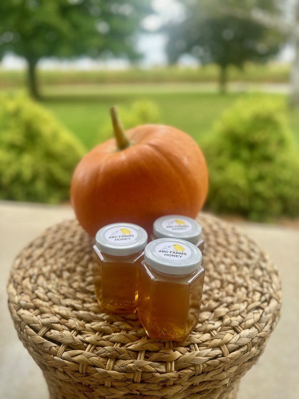 ABC Farms honey jars on a basket with a pumpkin
